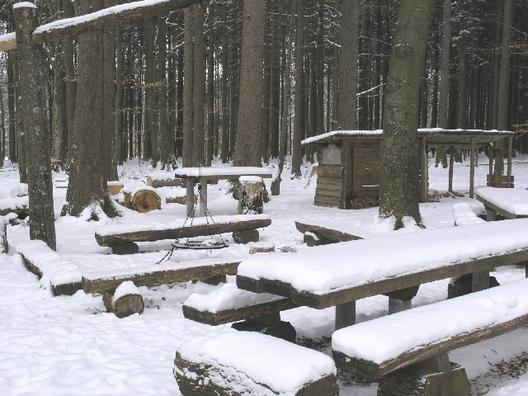 Winter im Schneisinger Wald