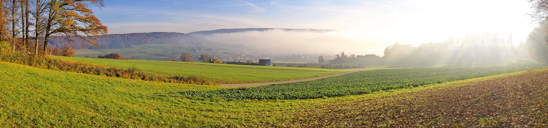 Herbst