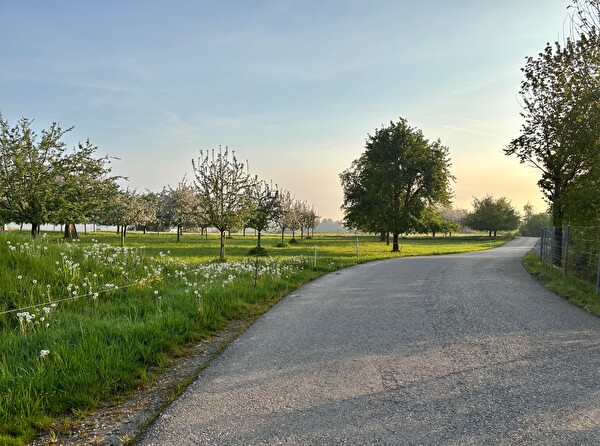 Das Foto zeigt die Zufahrtsstrasse zur Deponie Unterbüel.