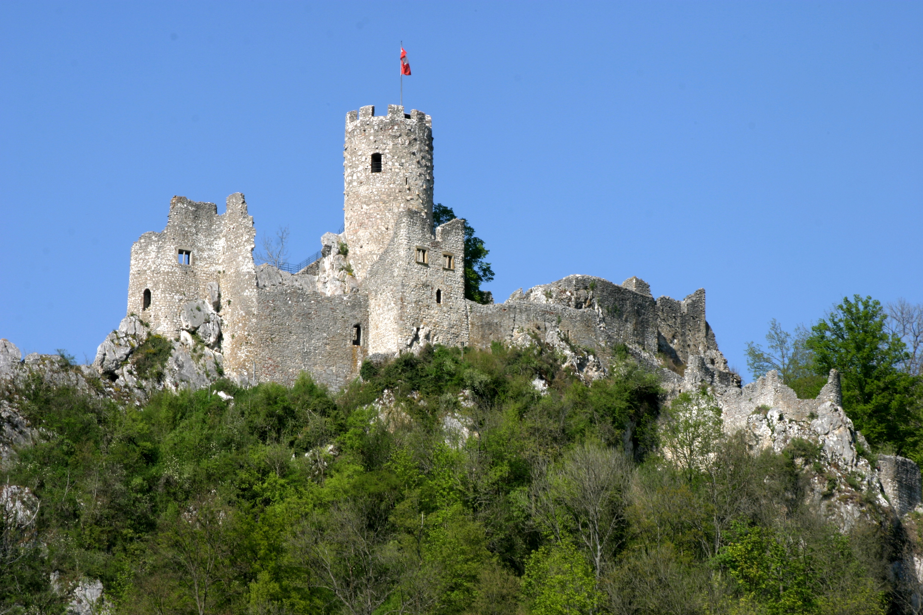 Neu-Falkenstein 4