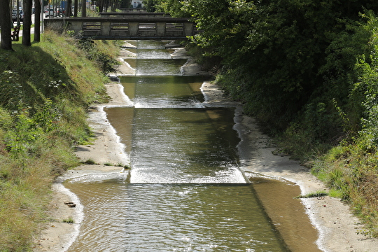 Wasser Bach
