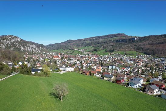 Balsthal von oben