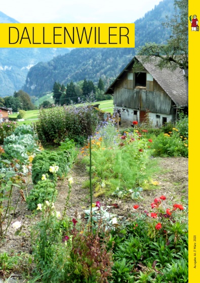 Bild Dallenwiler-Heft