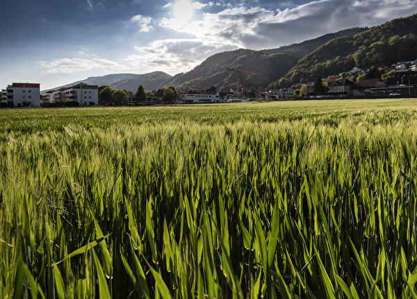 Landwirtschaft und Natur