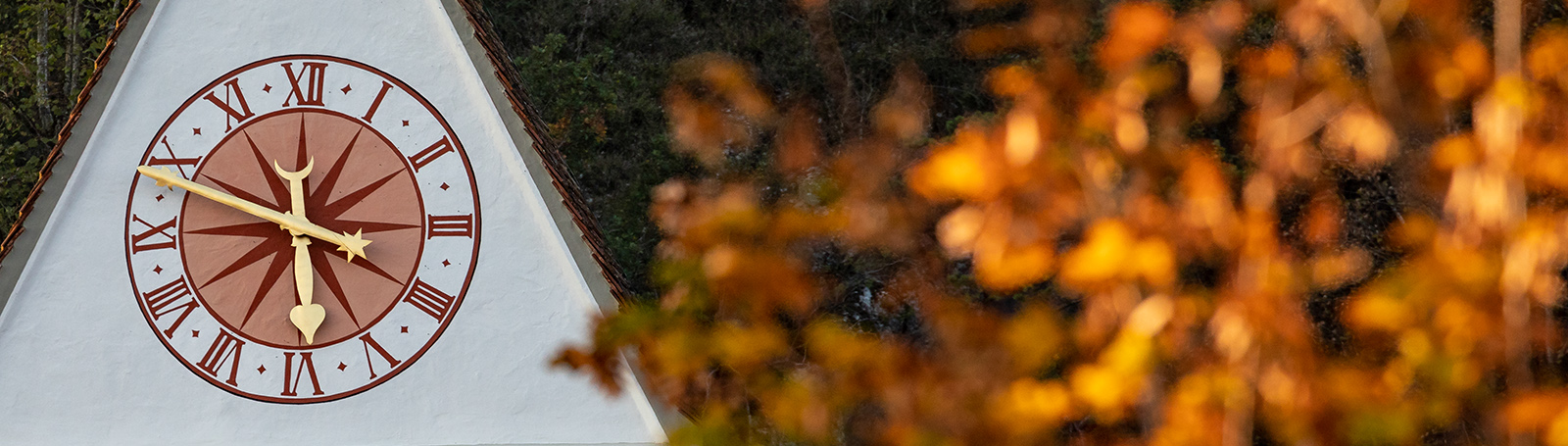 Banner Foto