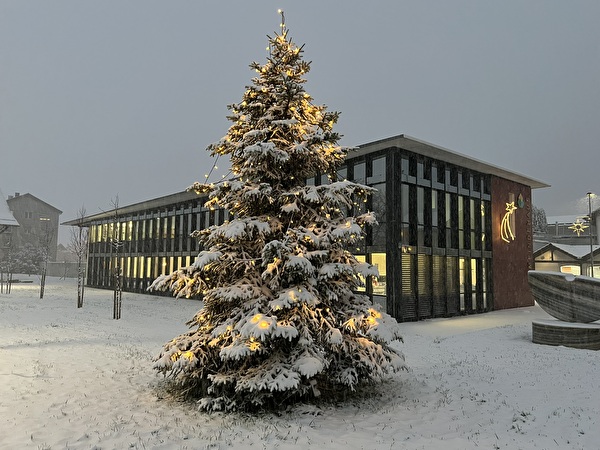 Weihnachtsbaum 2024