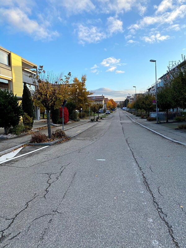 Einschlagstrasse 