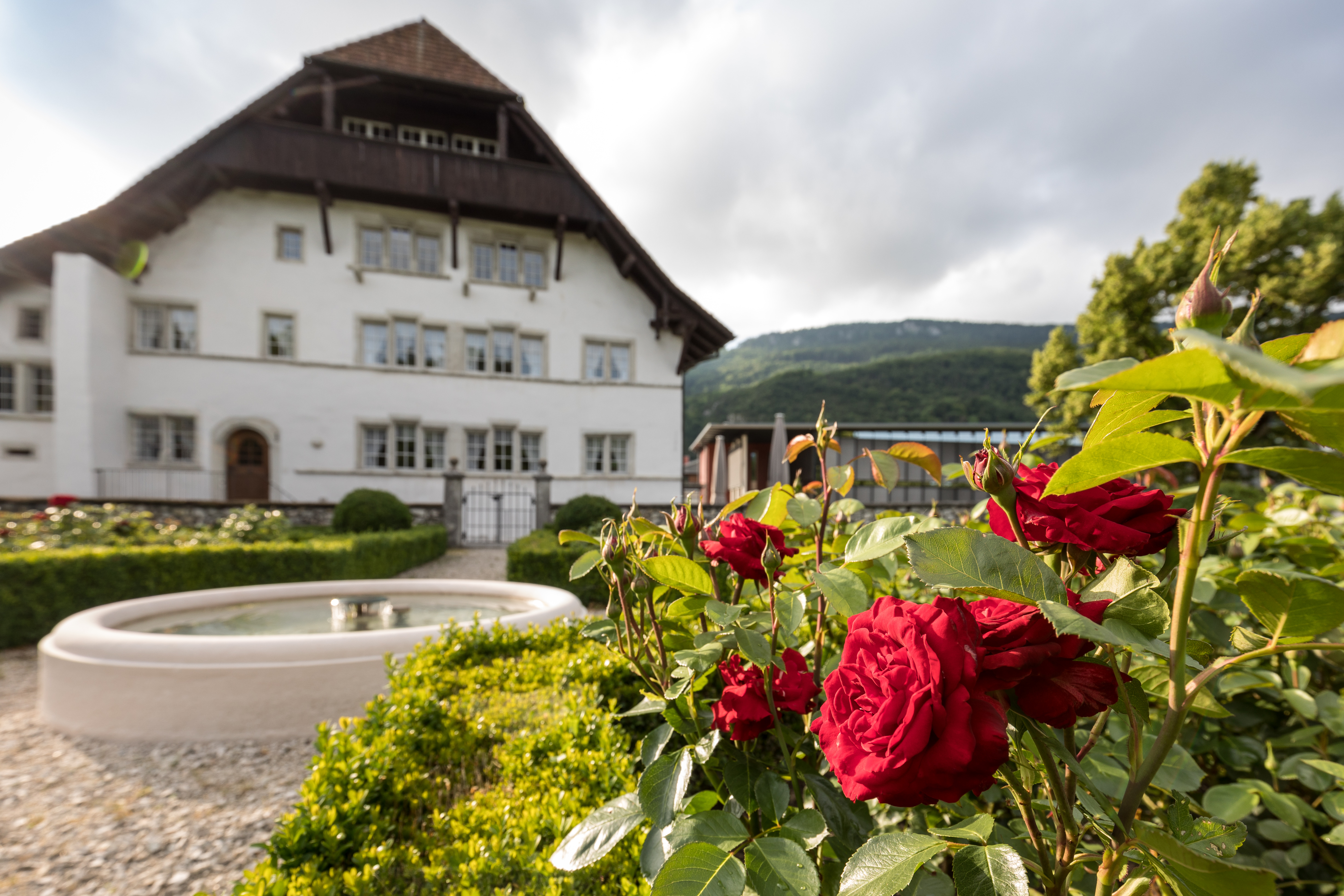 Alte Mühle