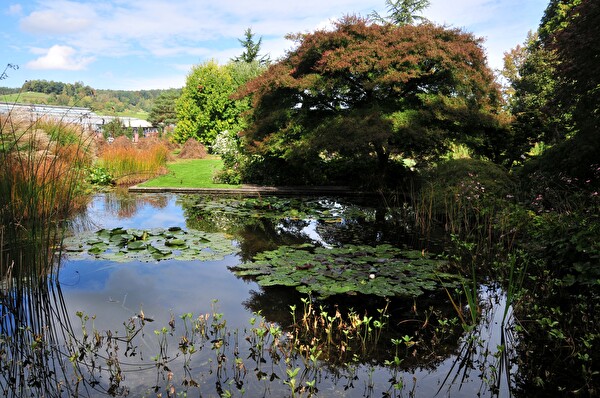 Hauenstein Schaugarten