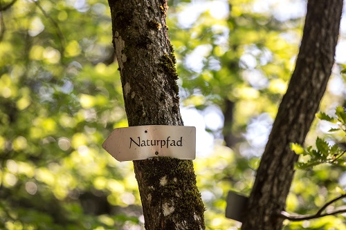 Naturpfad