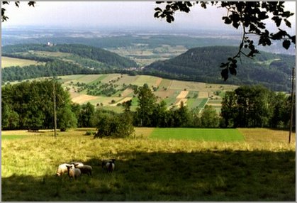 Bei klarem Wetter bietet sich von der Bergmatte eine grossartige Weitsicht in die Vogesen und den Schwarzwald