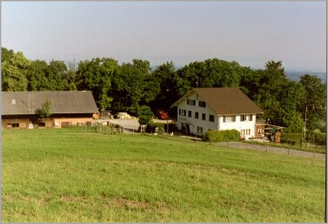Die Bergwirtschaft 'Bergmatten' und der Hof gehören der Bürgergemeinde Hofstetten-Flüh