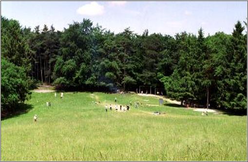 In einer grossen Lichtung liegt die Spielwiese 'Bergmatte'