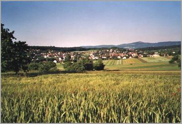 Ansicht von Hofstetten aus Westen