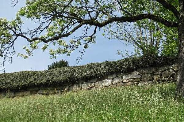 Trockensteinmauer