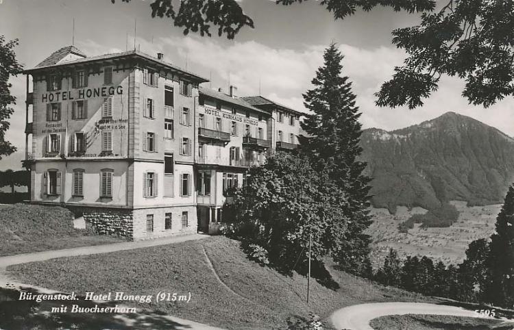 Hotel Honegg