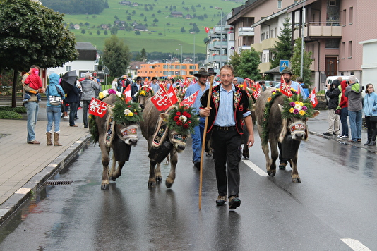 Alpabzug 2012