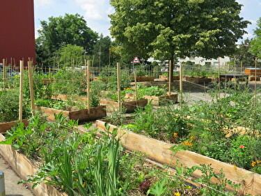 Potagers en bacs à Cressy