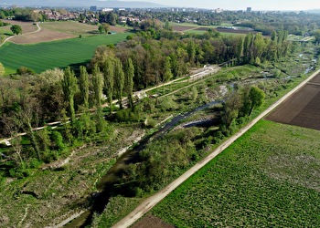 Vallon de l'Aire