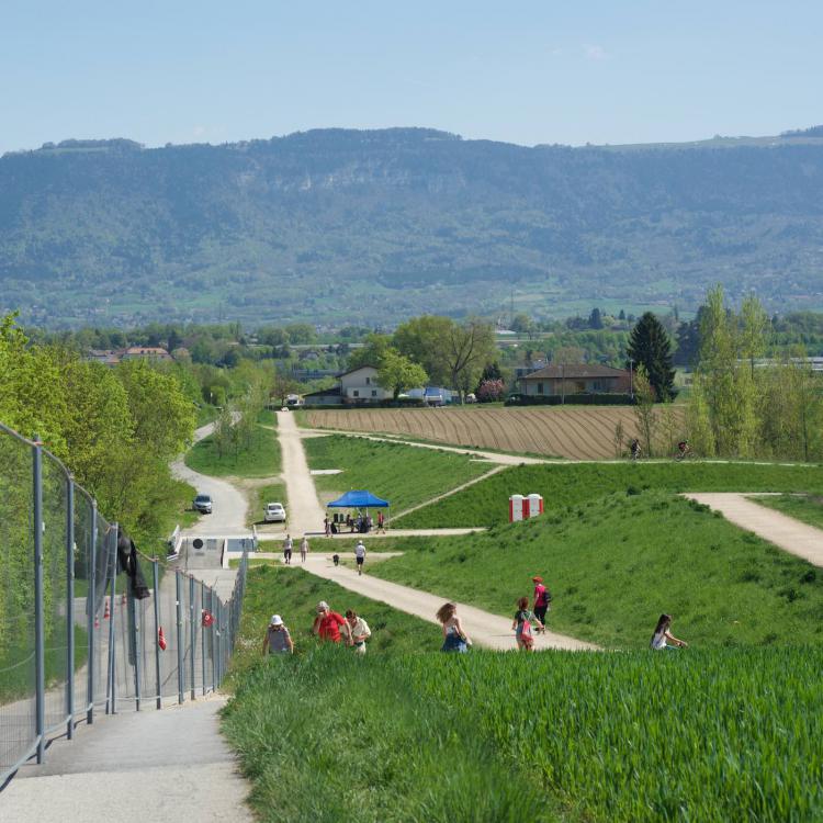 Participants
