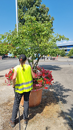 JOB JEUNES