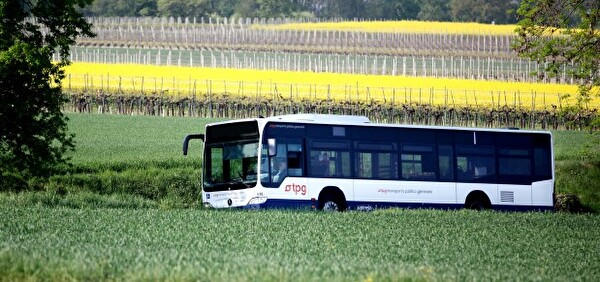 Bus tpg