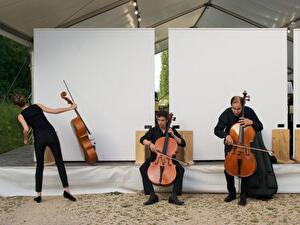 Musiciens