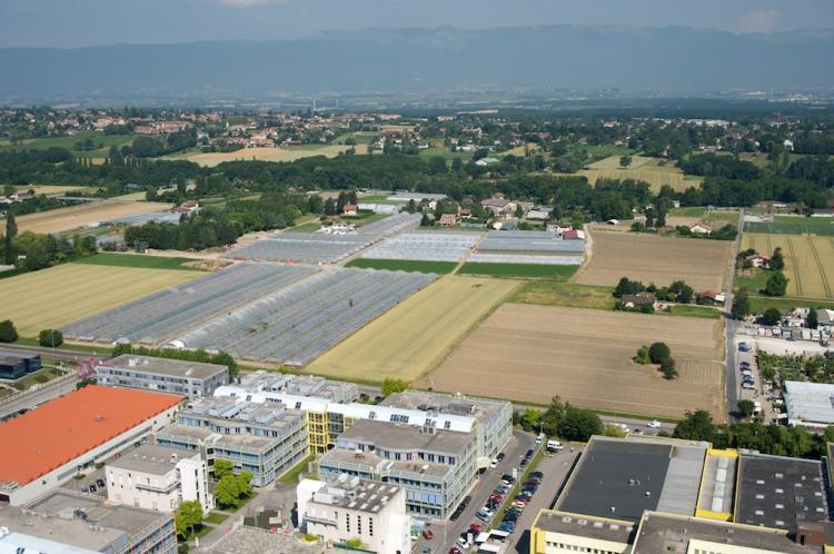 Vue aérienne du futur quartier des Cherpines