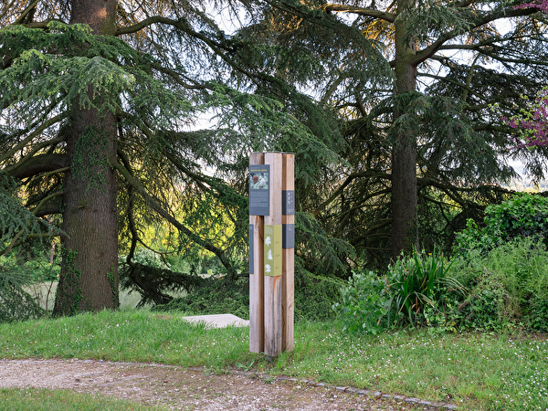 PROMENADES THÉMATIQUES À CONFIGNON