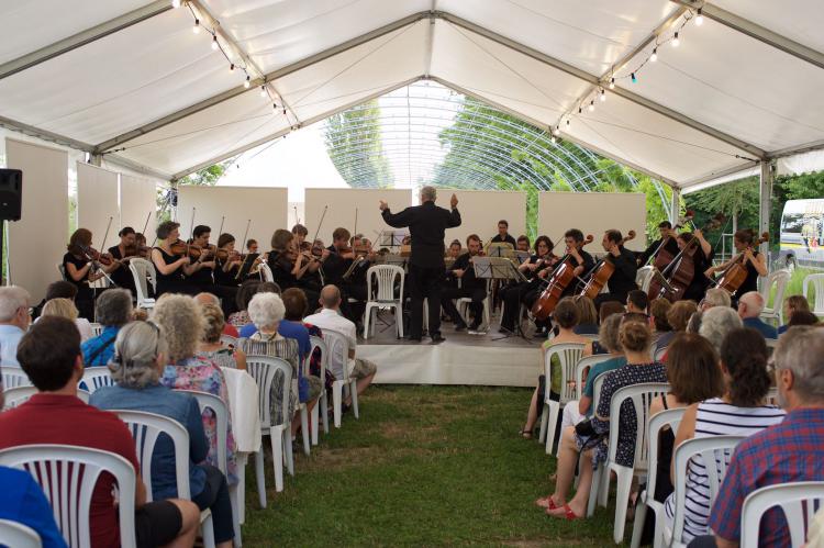 Concert