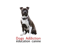 Dogs addiction