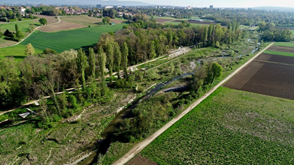 Vallon de l'Aire