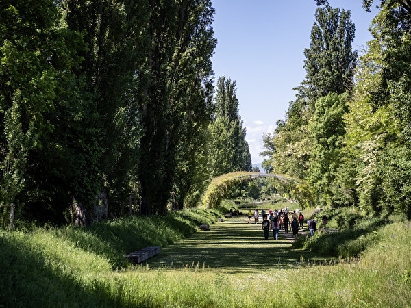 Balade sous la pergola du vallon de l'Aire - Photo par Jonathan Ruffin Photographe