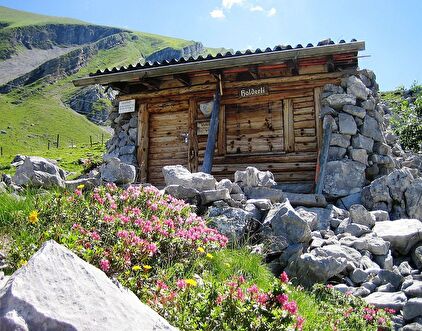 Schutzhütte Holderli