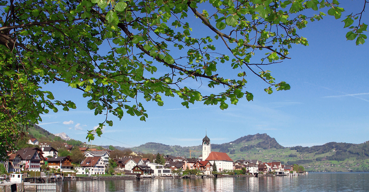 Blick zum Dorf Beckenried