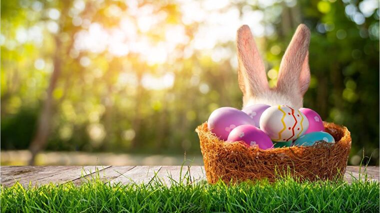 Osterhase