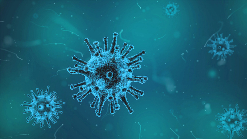 Virus, Vogelgrippe