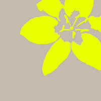 PlantaCare AG