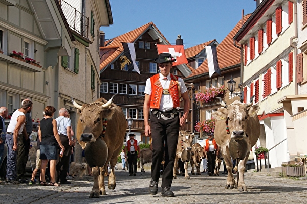 Viehschau
