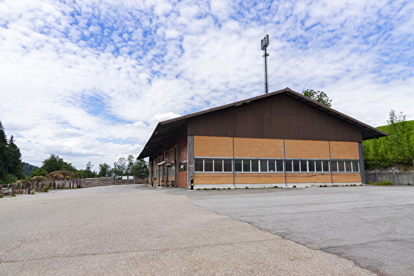 Chammerholz