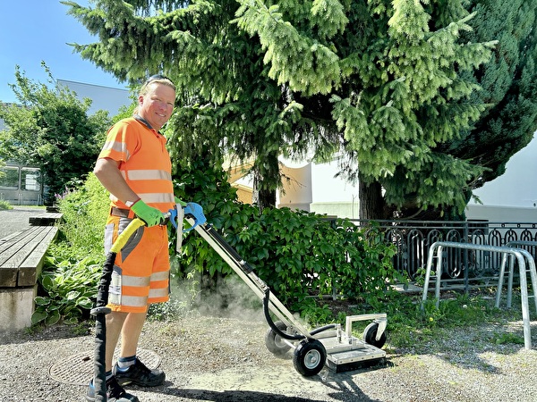 Die Mitarbeitenden des Werkhofs kämpfen unter anderem gegen Unkraut.