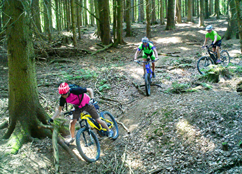 Beispiel eines illegalen Trails quer durch den Wald