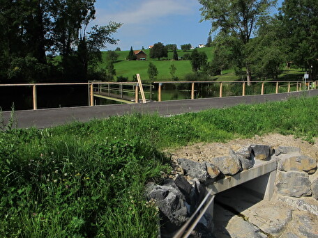 Der Saumweiher mit dem neuen Hochwasserabfluss, der gleichzeitig den Amphibien als Durchlass dient. 