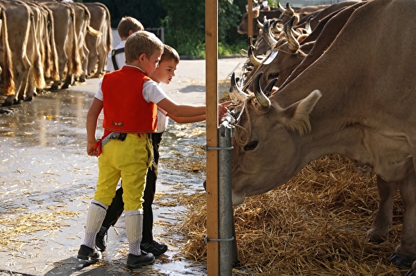 Kinder an der Viehschau