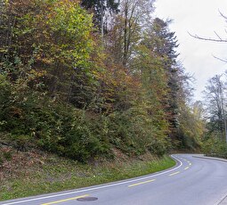 An der Saumstrasse kann es zu Verkehrszögerungen kommen.