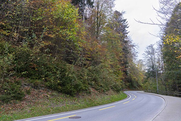 An der Saumstrasse kann es zu Verkehrszögerungen kommen.