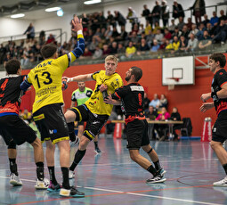 Handball im Sportzentrum