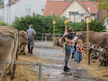 Die Viehschau bietet eine wunderbare Gelegenheit,mit der bäuerlichen Lebenswelt in Kontakt zu treten.