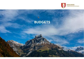 Deckblatt Budgets