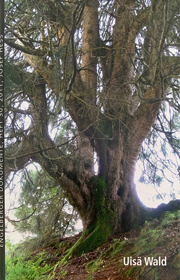 Ein Baum im Wald